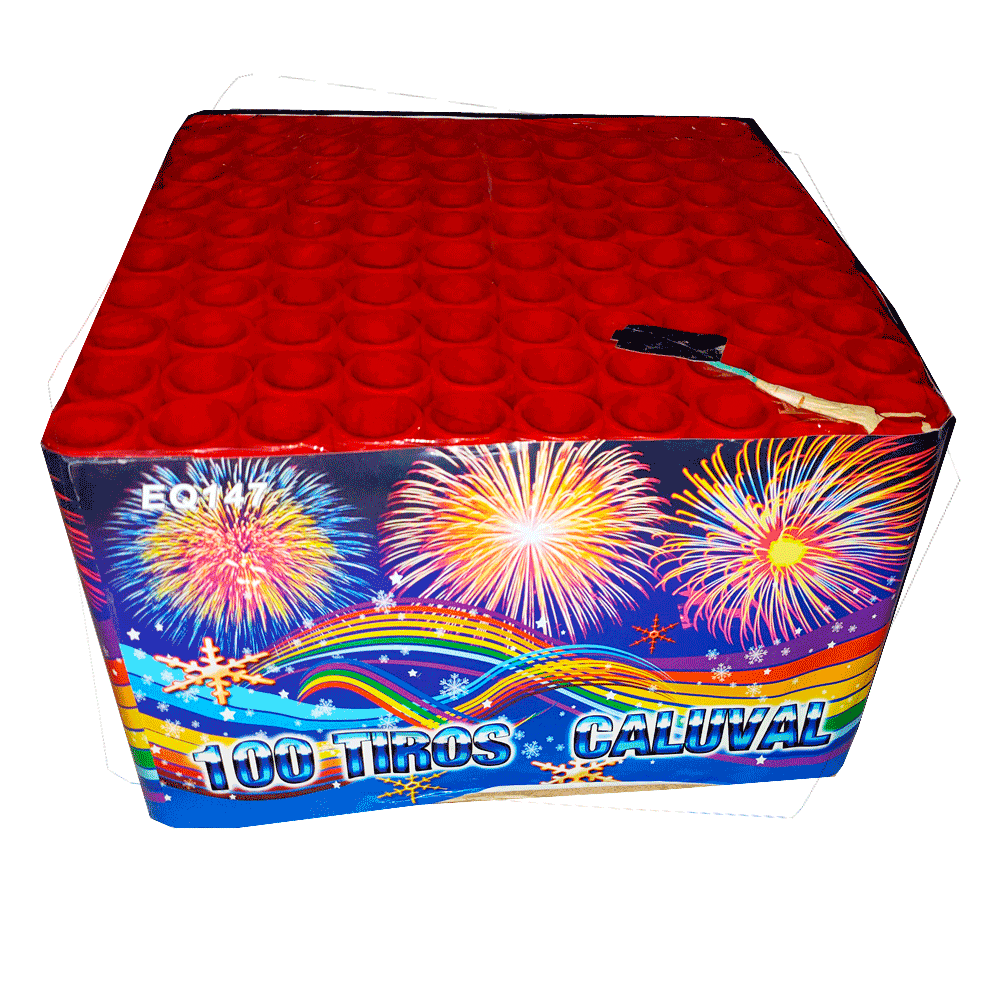 Tortas 100